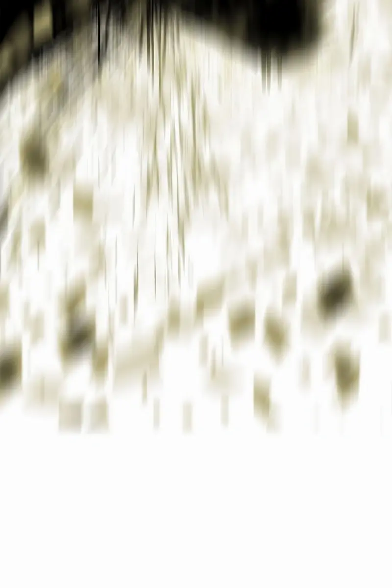 The Legend of the Northern Blade Chapter 201 Page 52