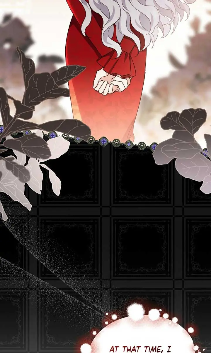 Villain Fiancé Is in My Way of Happiness Chapter 9 Page 13