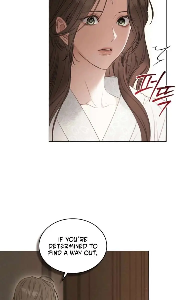 Odalisque Chapter 55 Page 61