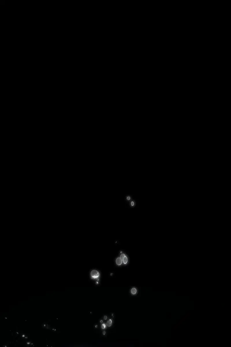 Omniscient-readers-viewpoint Chapter 163 Page 63