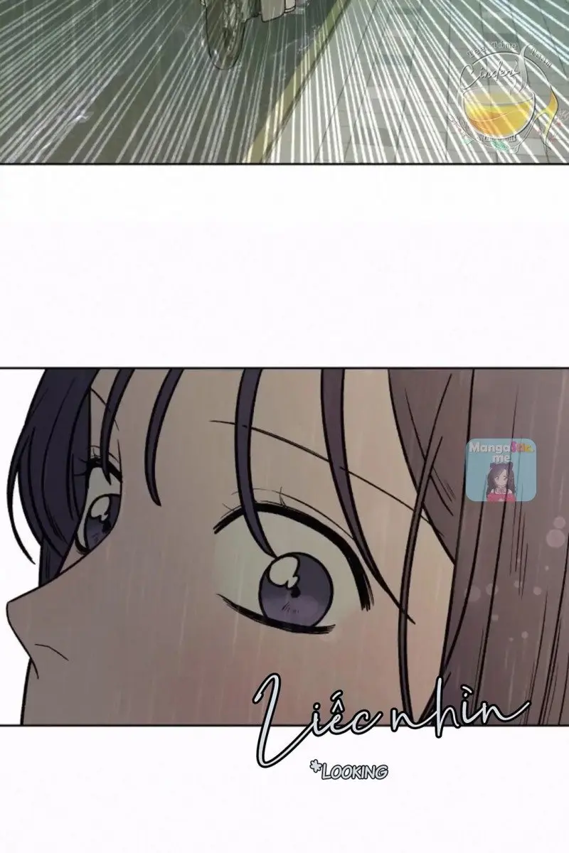 Pure Love Operation Chapter 14 Page 15