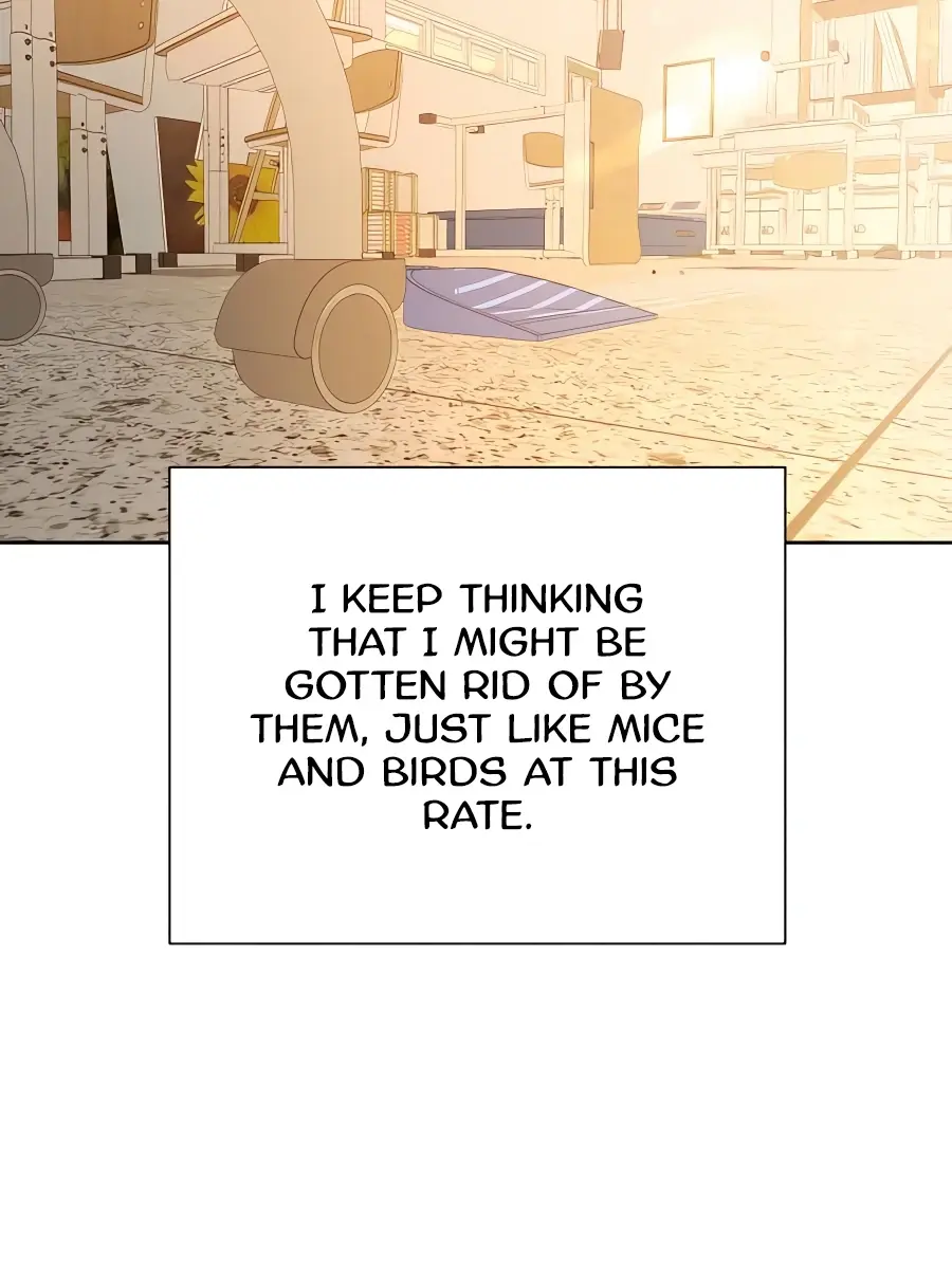 Pure Love Operation Chapter 40 Page 164