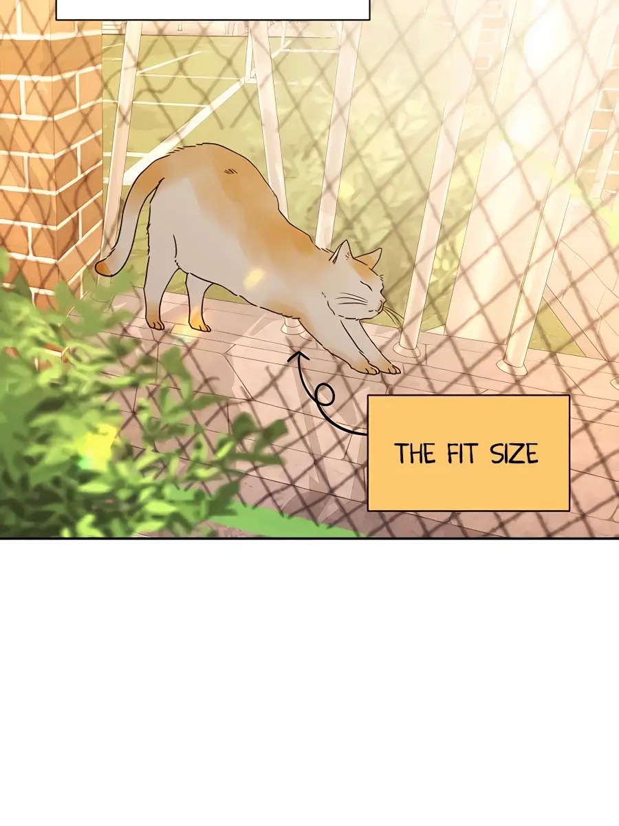 Pure Love Operation Chapter 44 Page 88