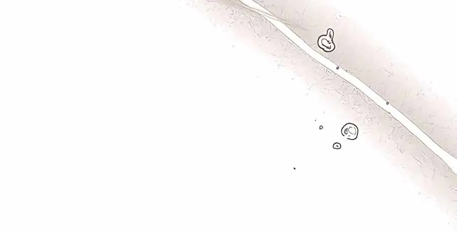 Pure Love Operation Chapter 52 Page 53