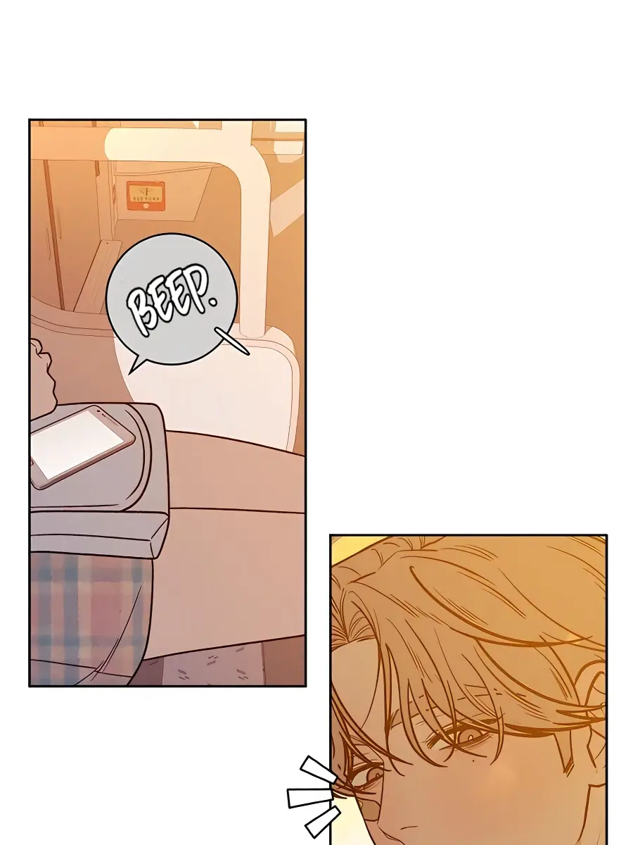 Pure Love Operation Chapter 59 Page 148