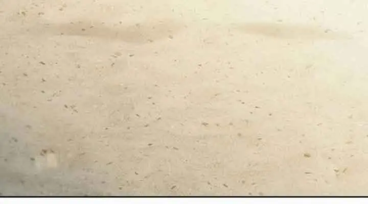 Pure Love Operation Chapter 85 Page 165