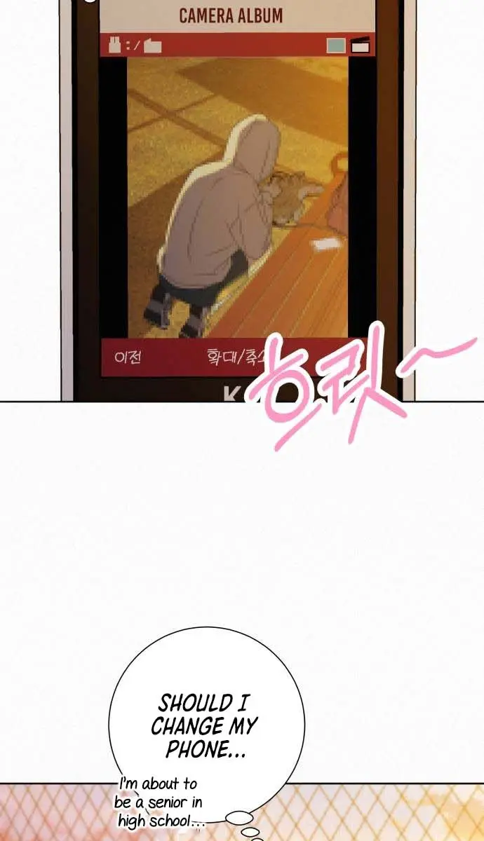 Pure Love Operation Chapter 99 Page 41