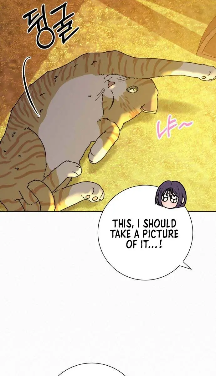 Pure Love Operation Chapter 99 Page 43