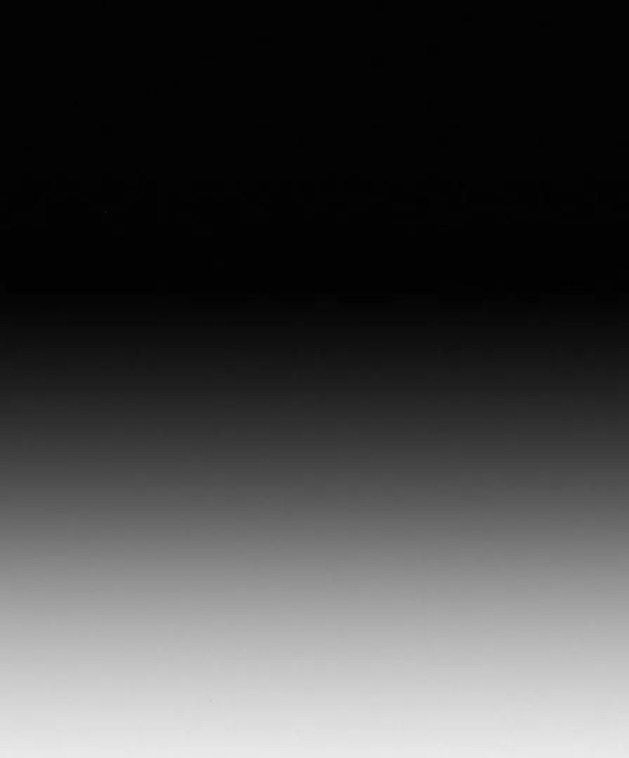 Pure Love Operation Chapter 118 Page 28