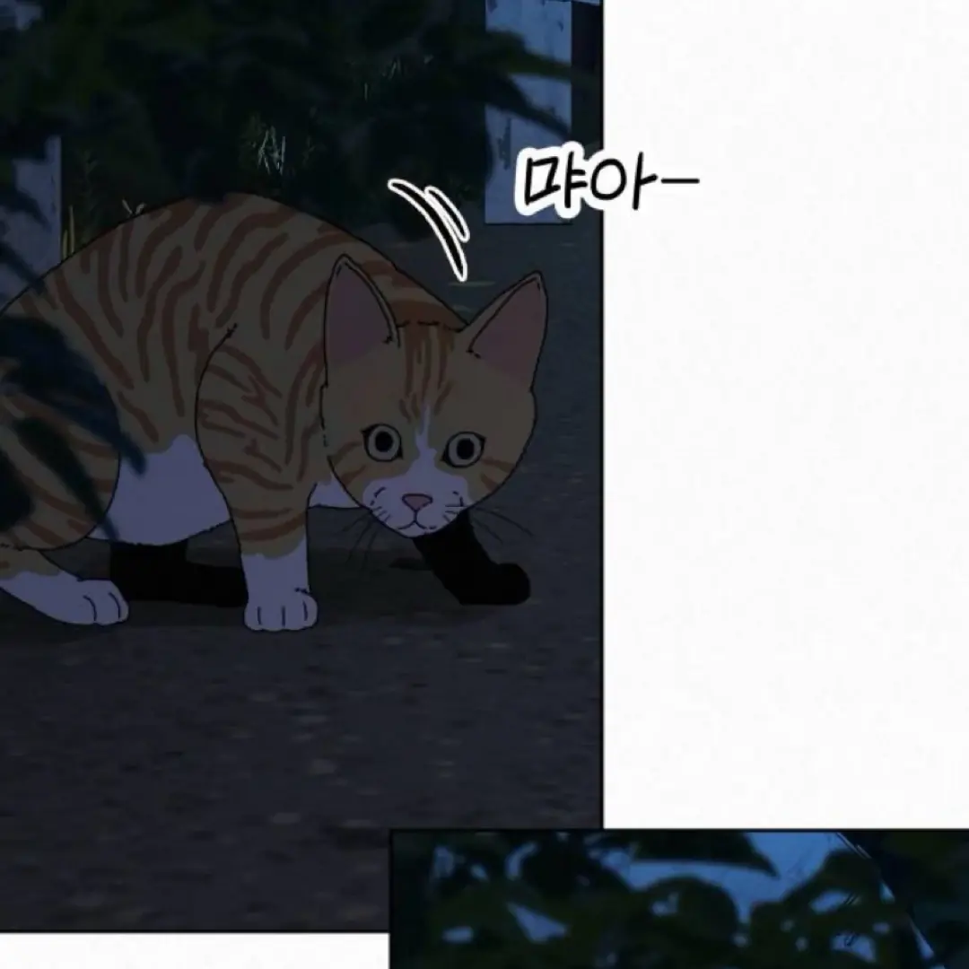 Pure Love Operation Chapter 124 Page 91