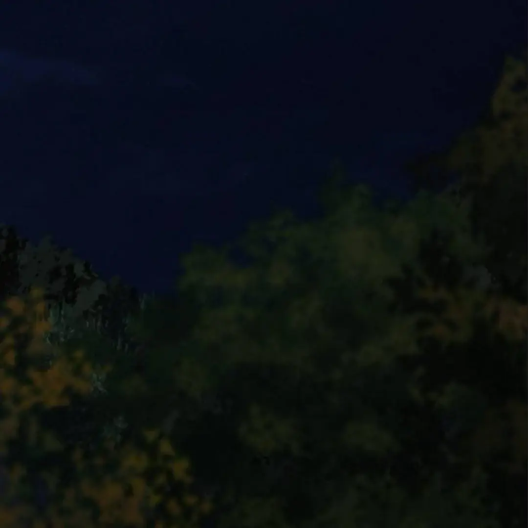 Pure Love Operation Chapter 124 Page 162