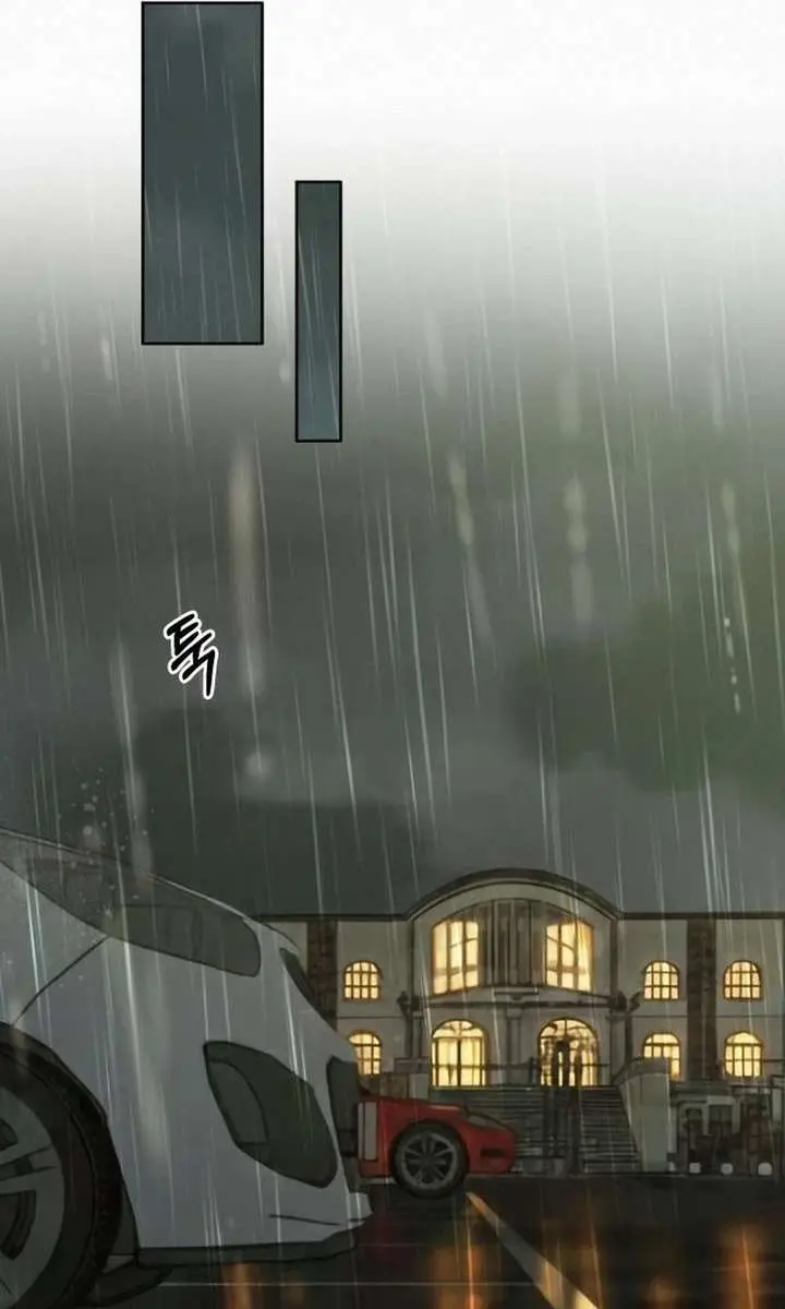 Pure Love Operation Chapter 133 Page 50