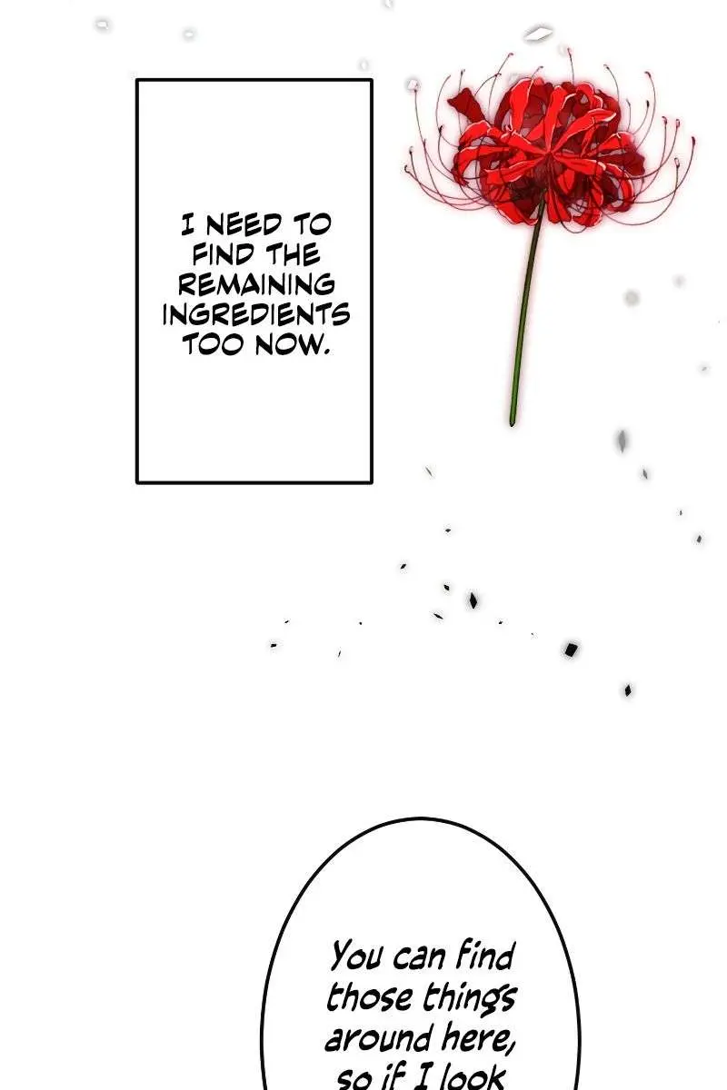 The Unparalleled Hidden Rank Equipment Chapter 5 Page 25