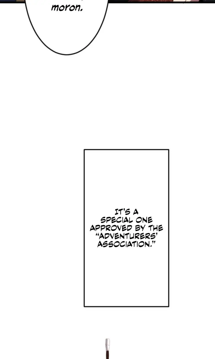 The Unparalleled Hidden Rank Equipment Chapter 19 Page 27
