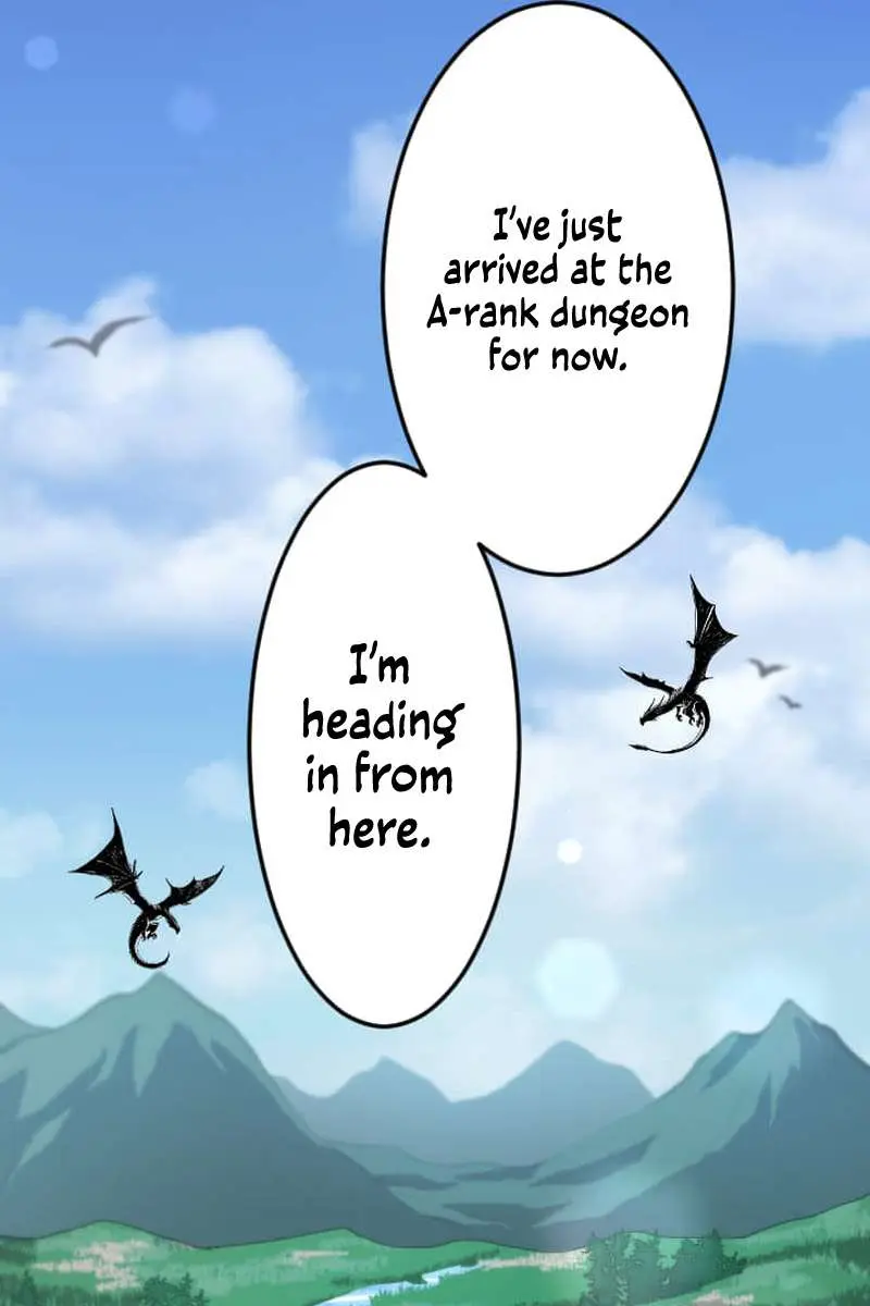 The Unparalleled Hidden Rank Equipment Chapter 63 Page 77