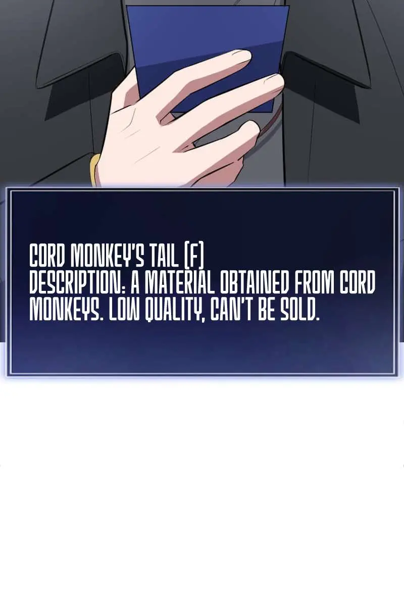 The Unparalleled Hidden Rank Equipment Chapter 65 Page 84