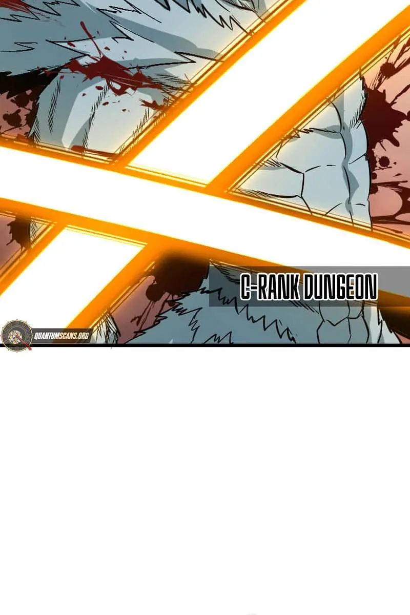 The Unparalleled Hidden Rank Equipment Chapter 66 Page 74
