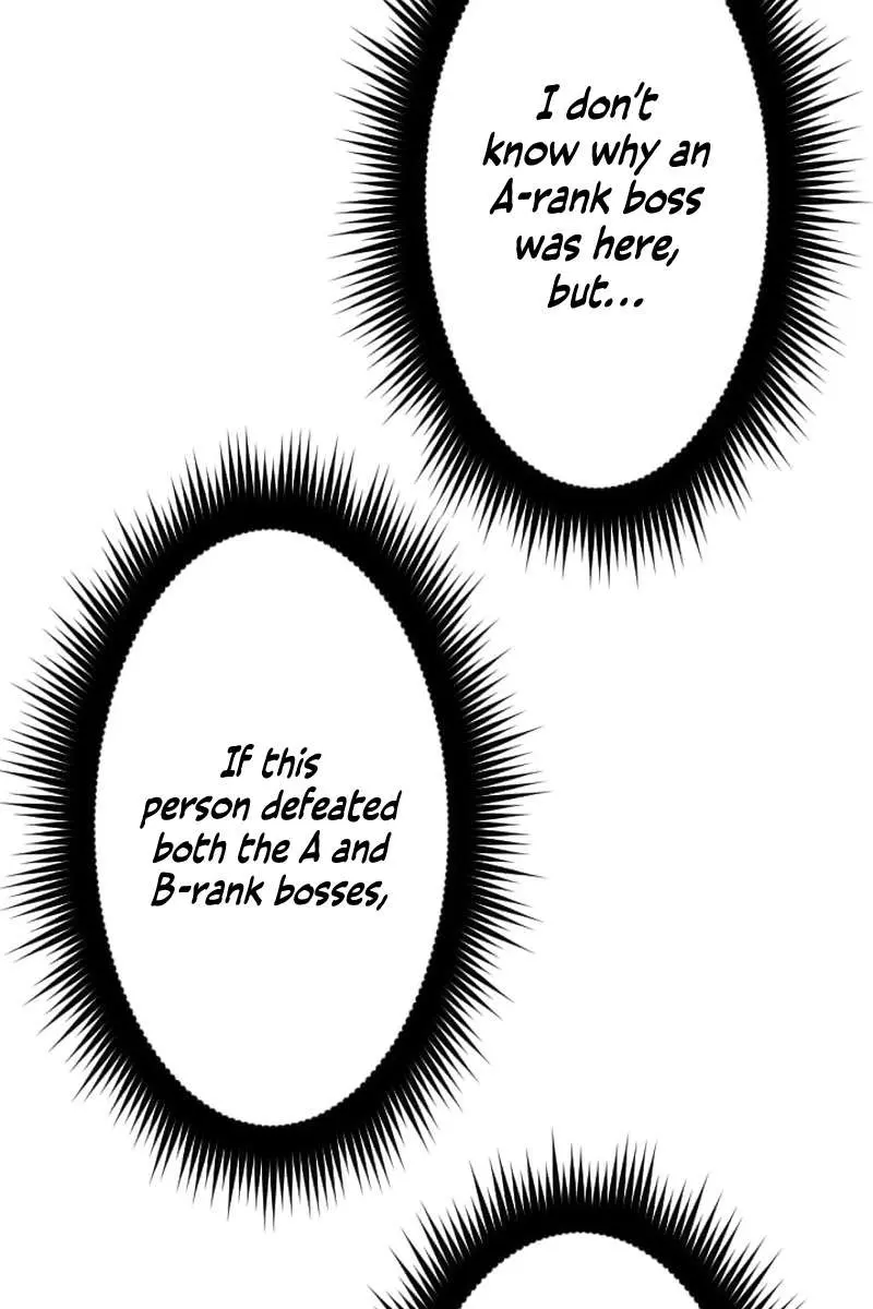 The Unparalleled Hidden Rank Equipment Chapter 67 Page 44
