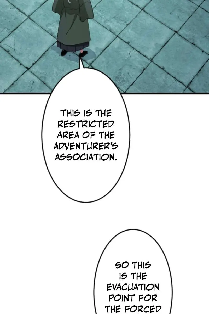 The Unparalleled Hidden Rank Equipment Chapter 85 Page 88