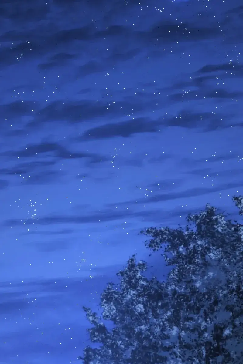 Reaper of the Drifting Moon Chapter 71 Page 3