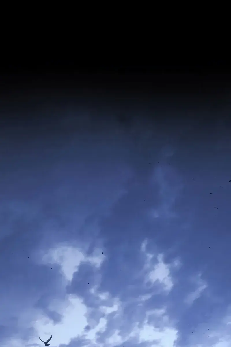 Reaper of the Drifting Moon Chapter 76 Page 2