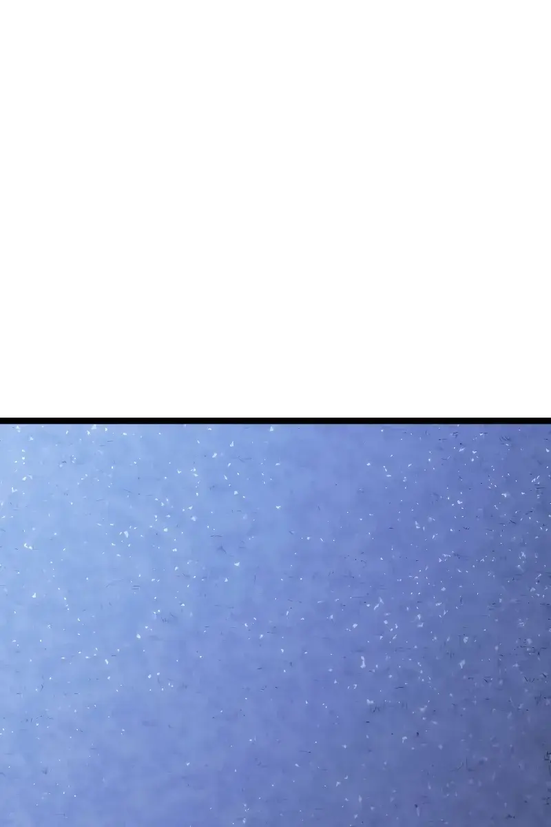 Reaper of the Drifting Moon Chapter 83 Page 142