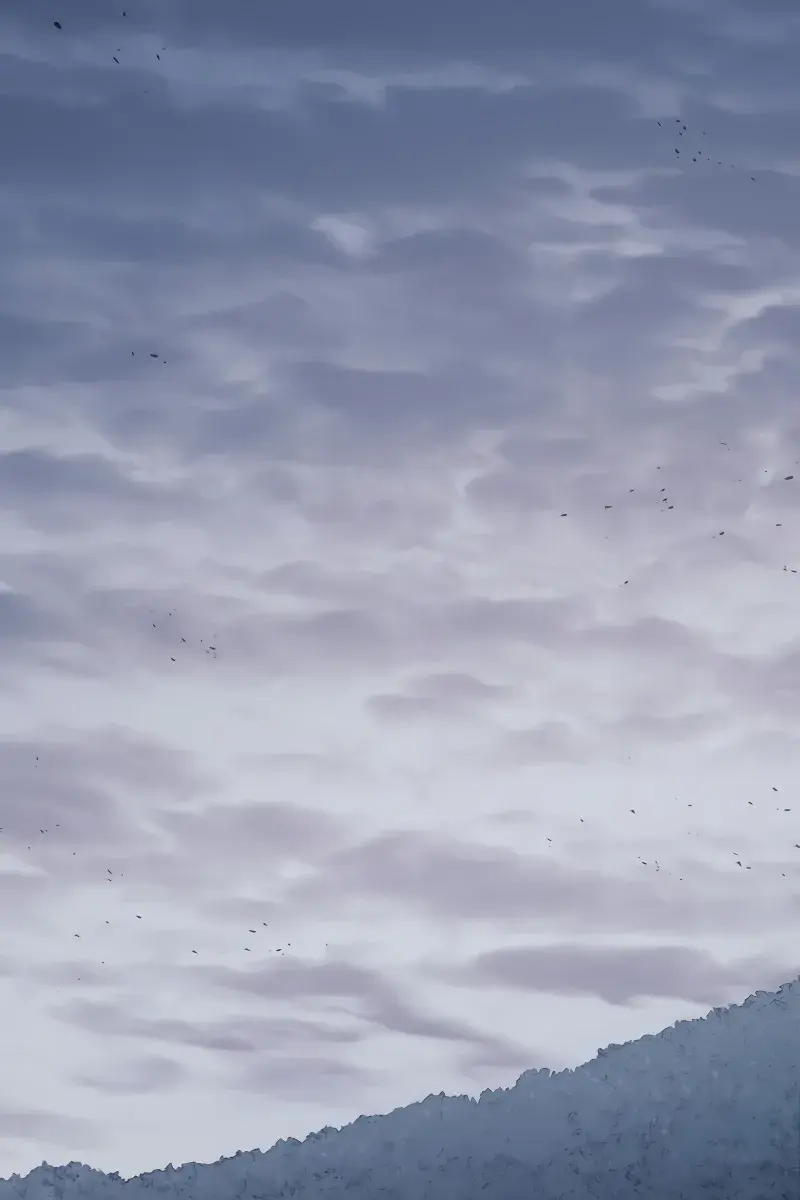 Reaper of the Drifting Moon Chapter 85 Page 20