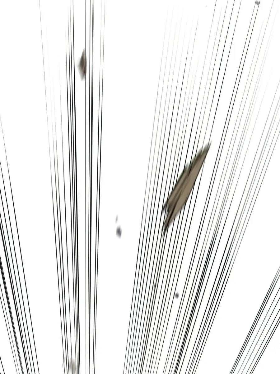 Return of the Mount Hua Sect Chapter 31 Page 105