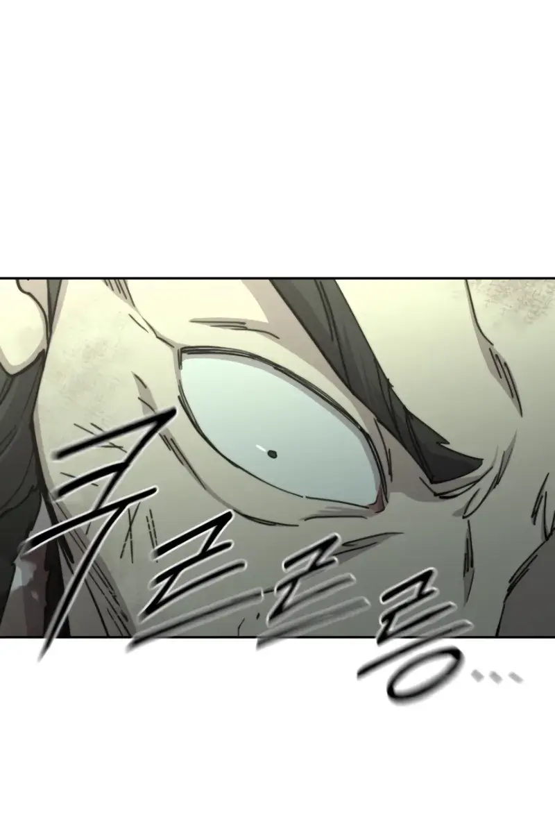 Return of the Mount Hua Sect Chapter 108 Page 95