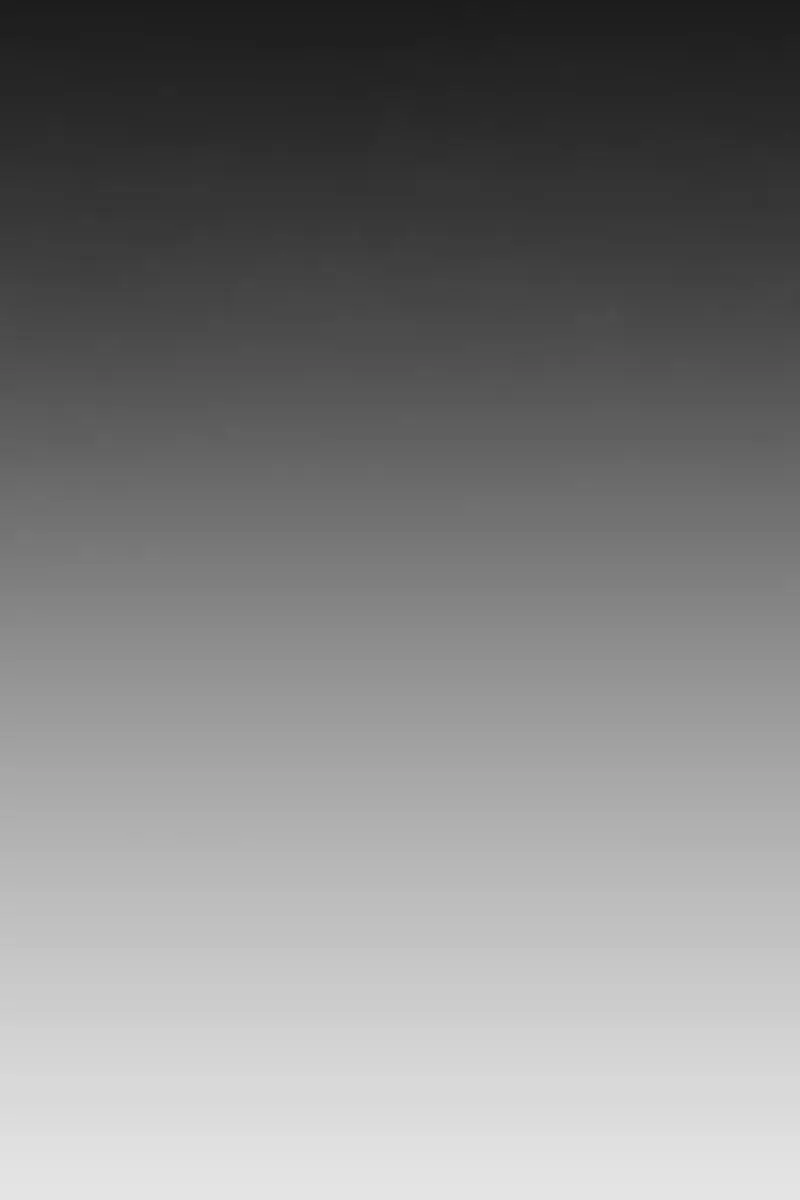 Return of the Mount Hua Sect Chapter 111 Page 51