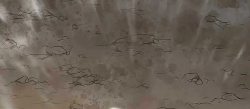 Return of the Martial Arts Genius Chapter 81 Page 48