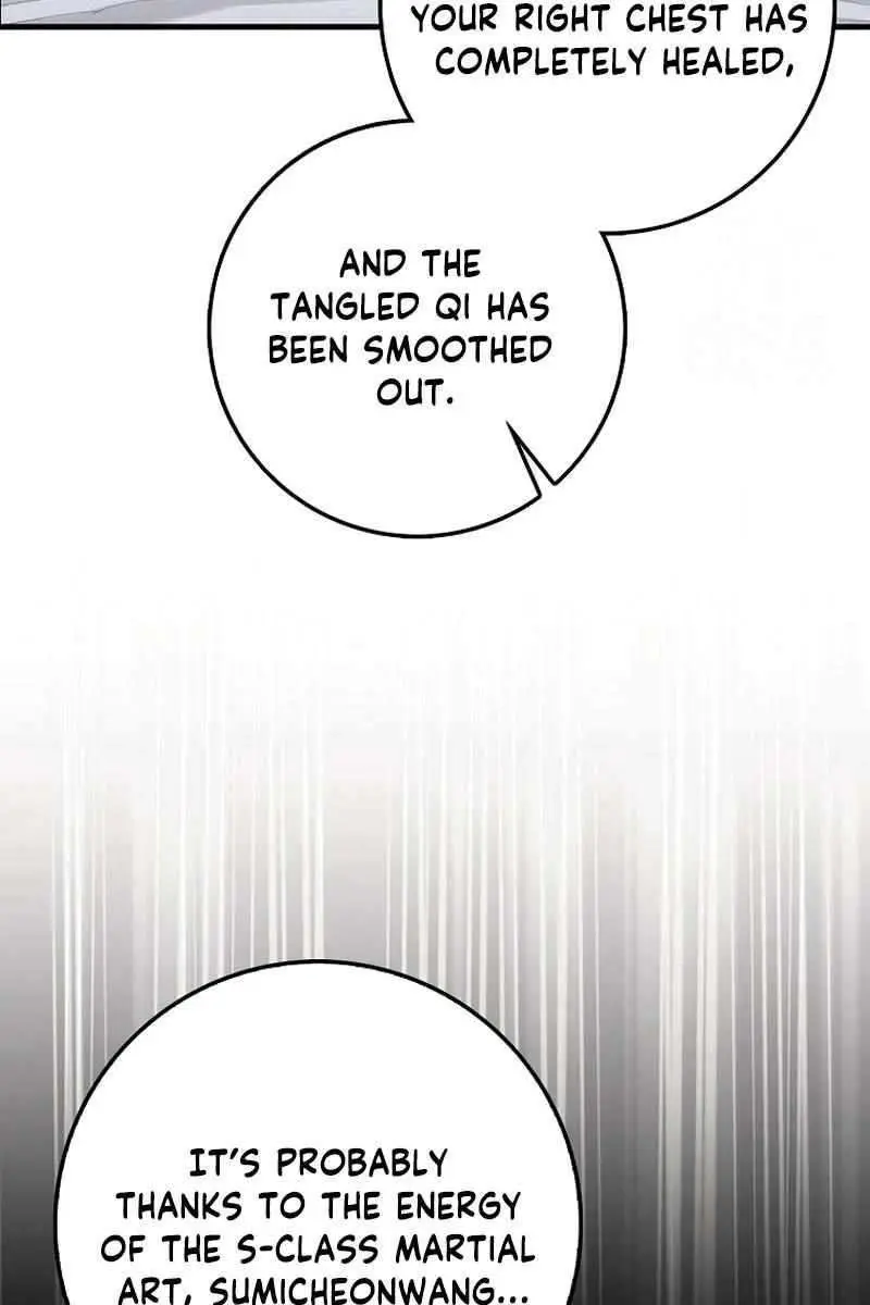 Return of the Martial Arts Genius Chapter 81 Page 91