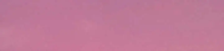 Return of the Martial Arts Genius Chapter 99 Page 117