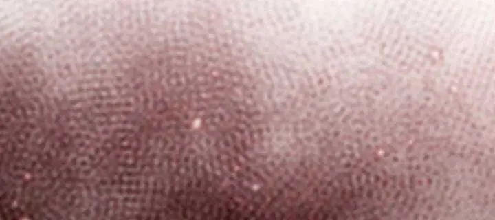 Return of the Martial Arts Genius Chapter 104 Page 52