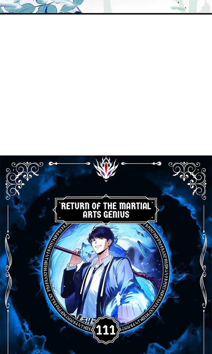 Return of the Martial Arts Genius Chapter 111 Page 13