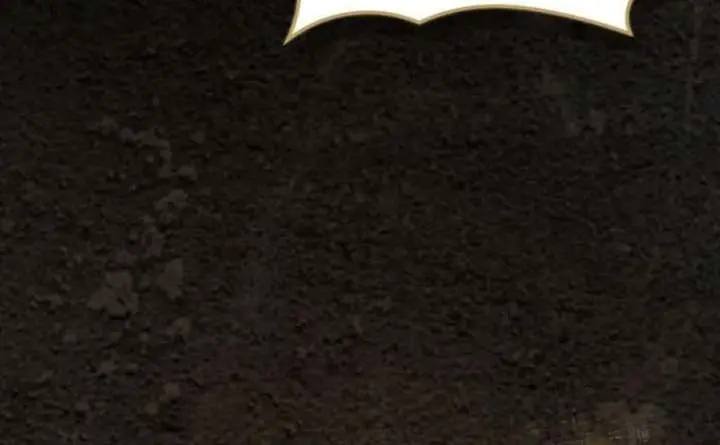 Return of the Martial Arts Genius Chapter 122 Page 17