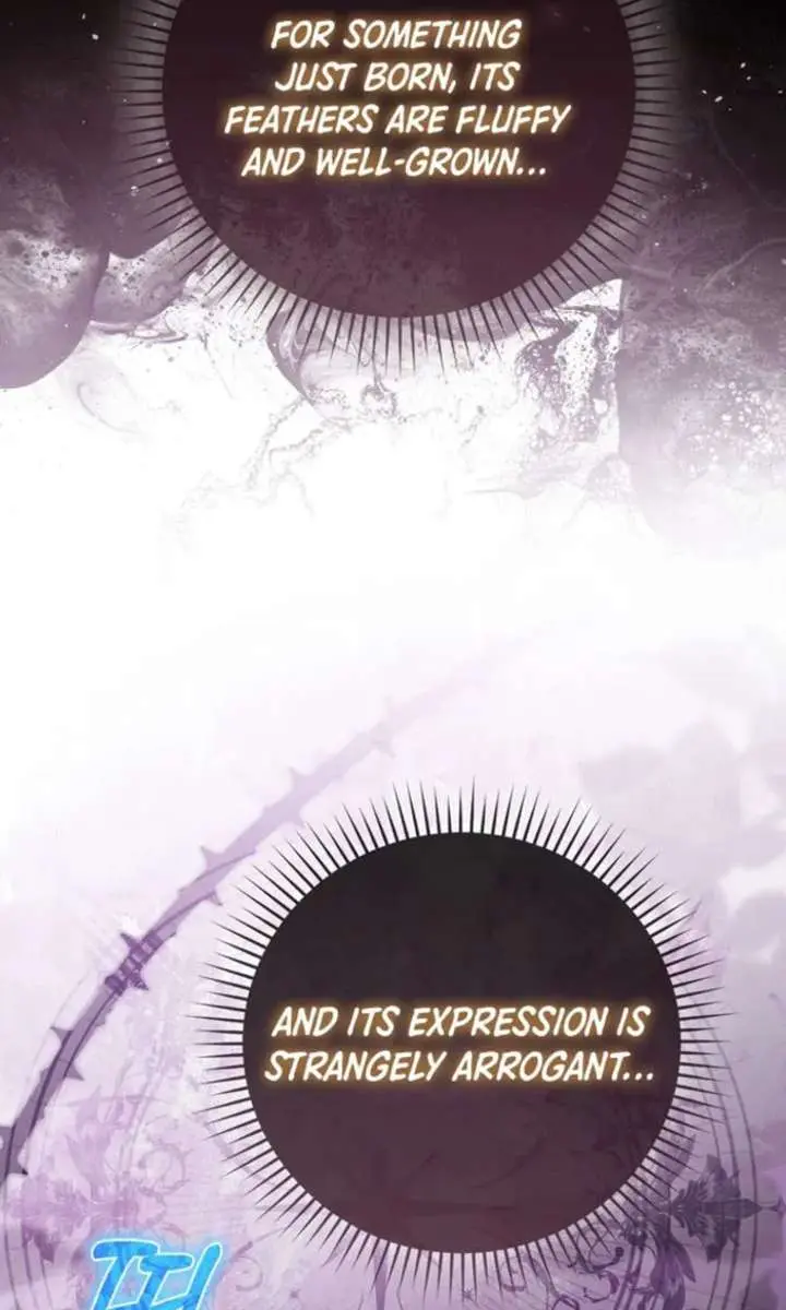 Return of the Martial Arts Genius Chapter 122 Page 97