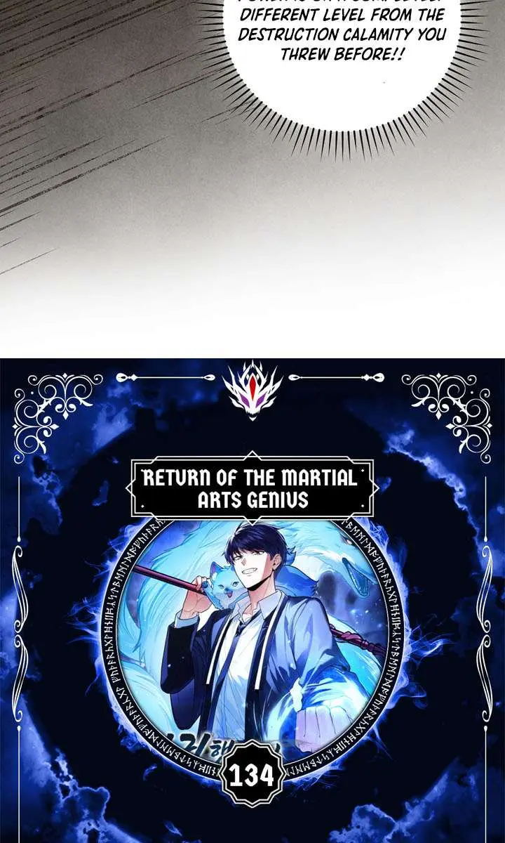 Return of the Martial Arts Genius Chapter 134 Page 16