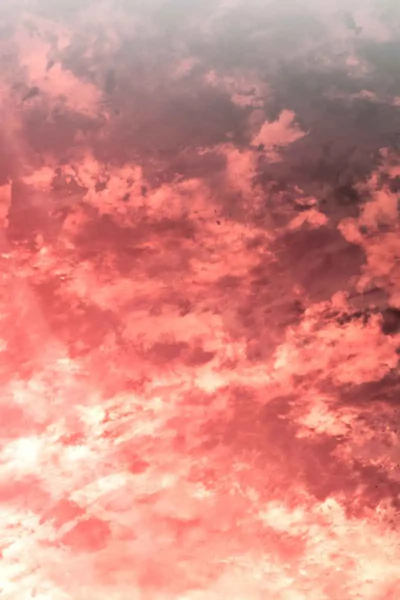 Revenge of the Iron-Blooded Sword Hound Chapter 27 Page 141