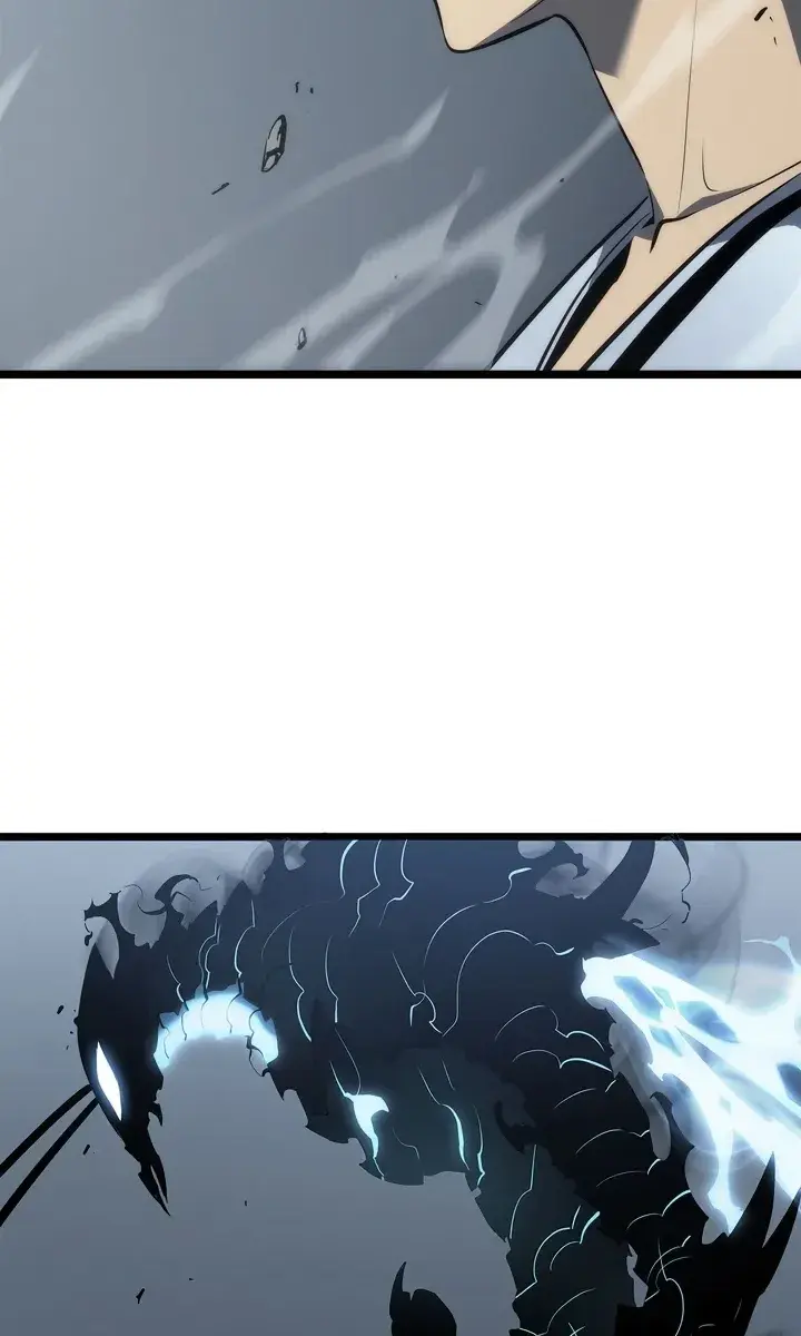 Solo Leveling Chapter 114 Page 17