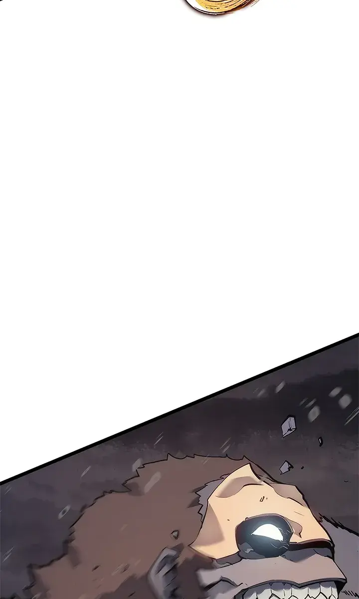 Solo Leveling Chapter 132 Page 44