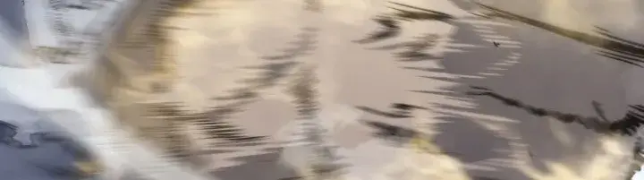 Solo Leveling Chapter 150 Page 65