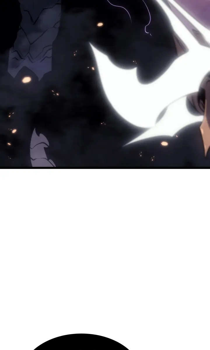 Solo Leveling Chapter 163 Page 47