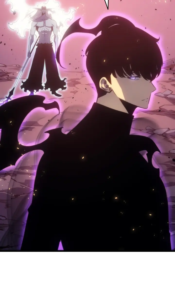 Solo Leveling Chapter 165 Page 14