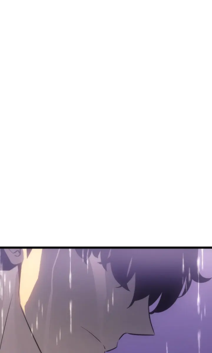 Solo Leveling Chapter 166 Page 30