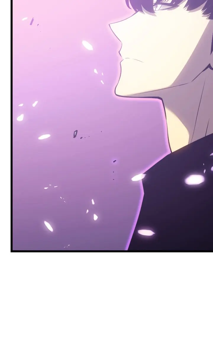 Solo Leveling Chapter 167 Page 30