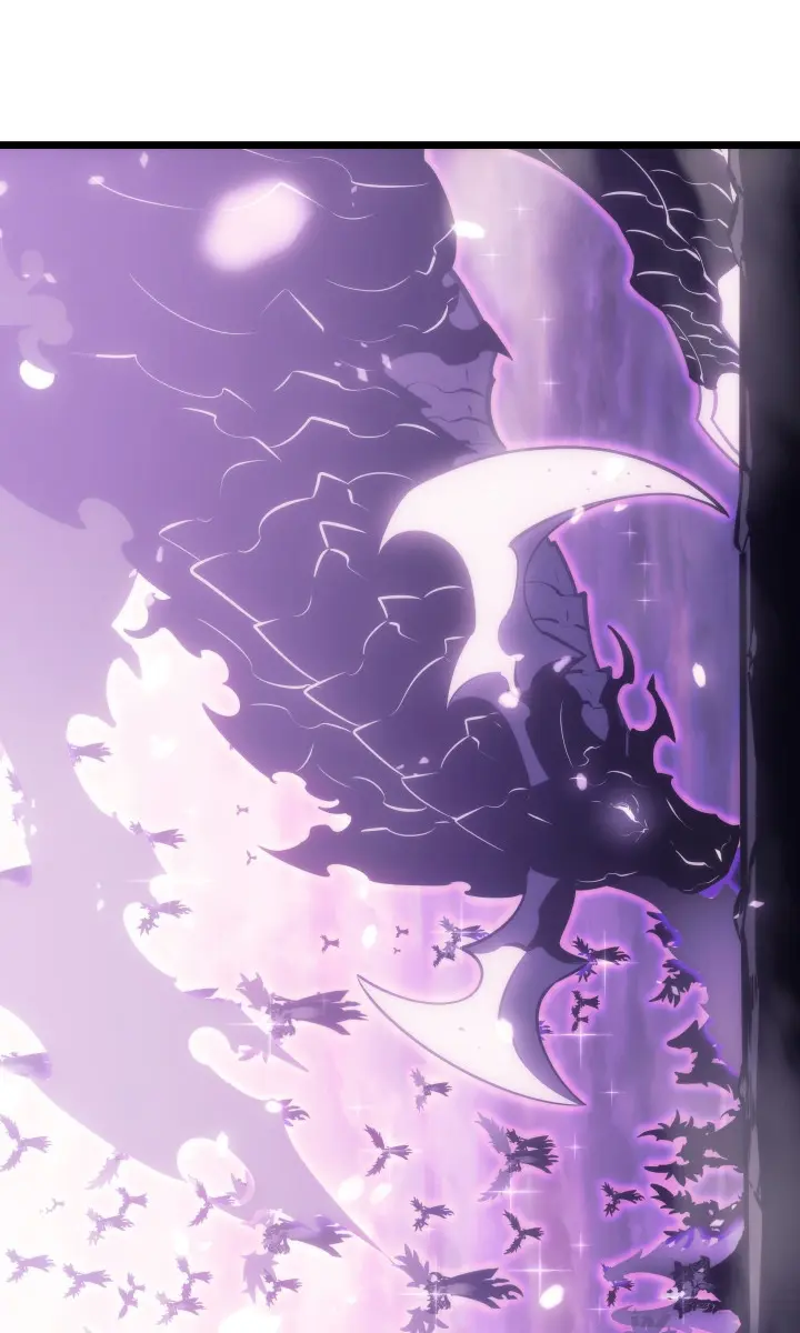 Solo Leveling Chapter 167 Page 35