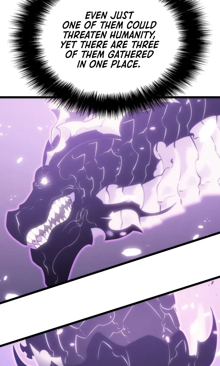 Solo Leveling Chapter 167 Page 43