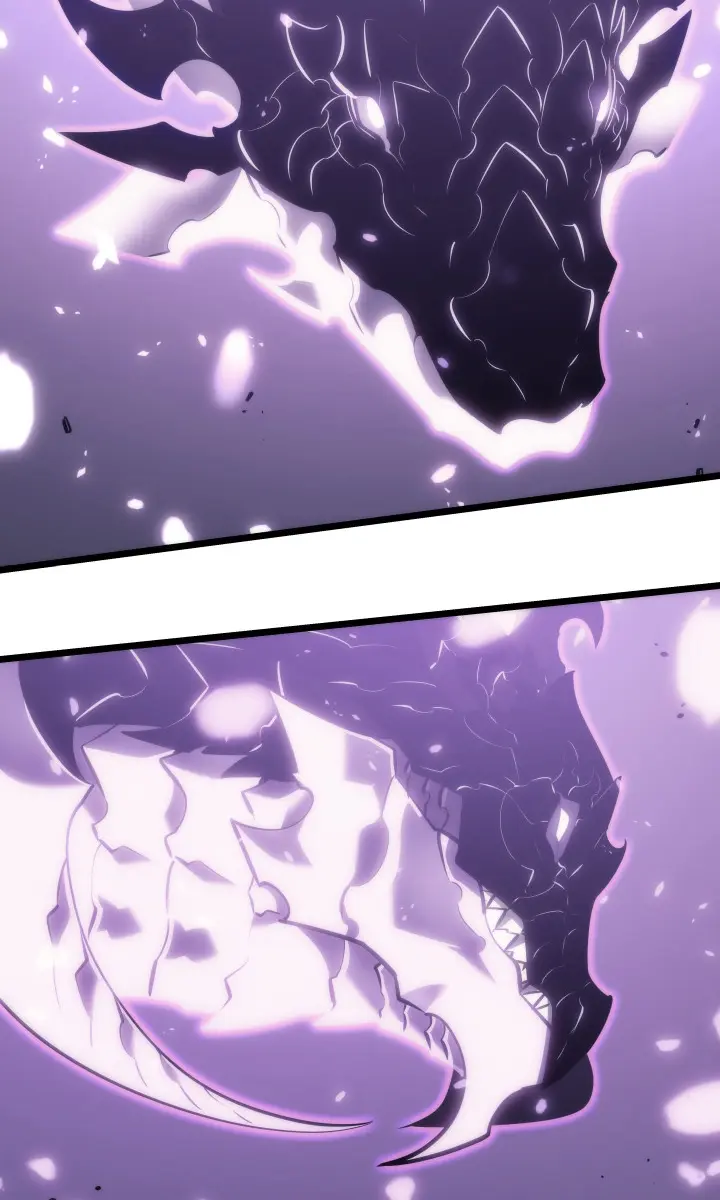 Solo Leveling Chapter 167 Page 44
