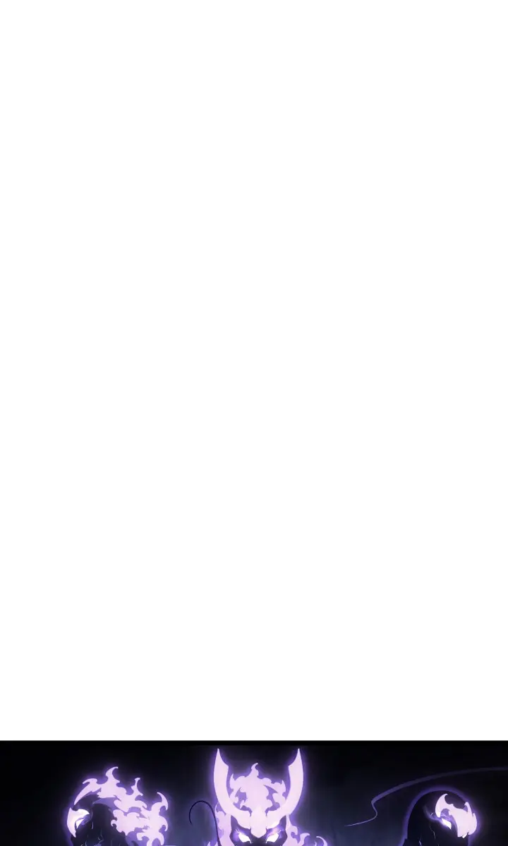 Solo Leveling Chapter 167 Page 47